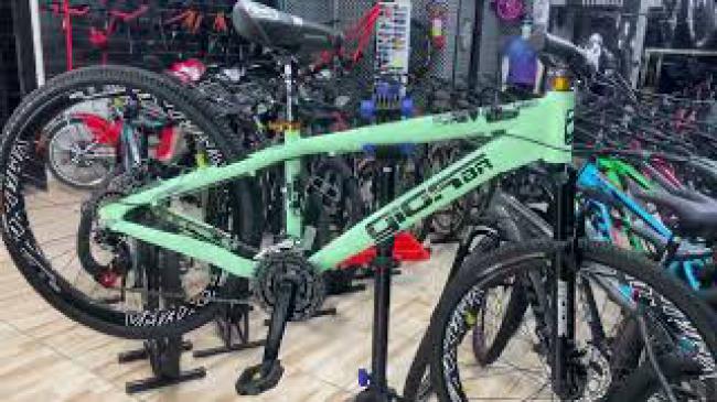 GIOS FRX VERDE 2022